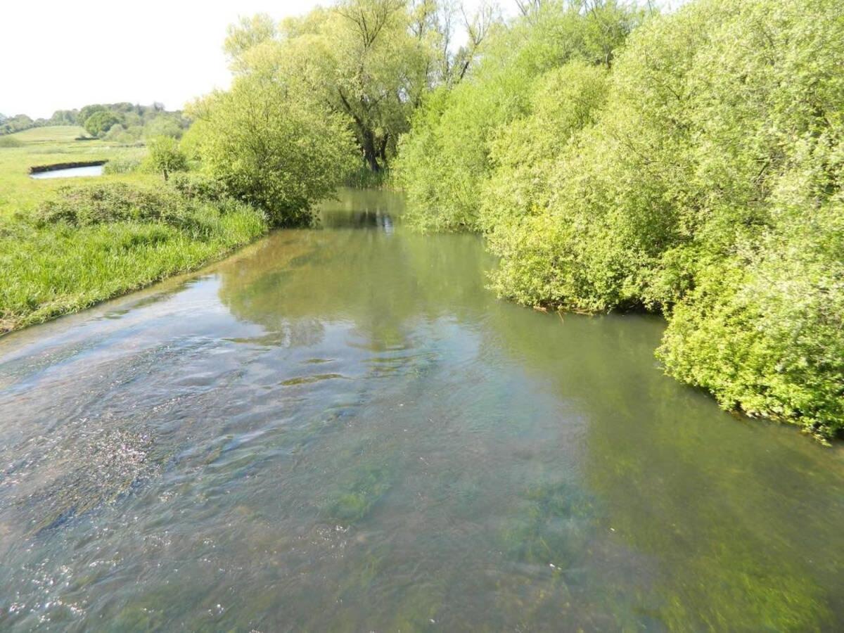 River Cottage A Country Retreat In Wooded Gardens East Stoke  Bagian luar foto