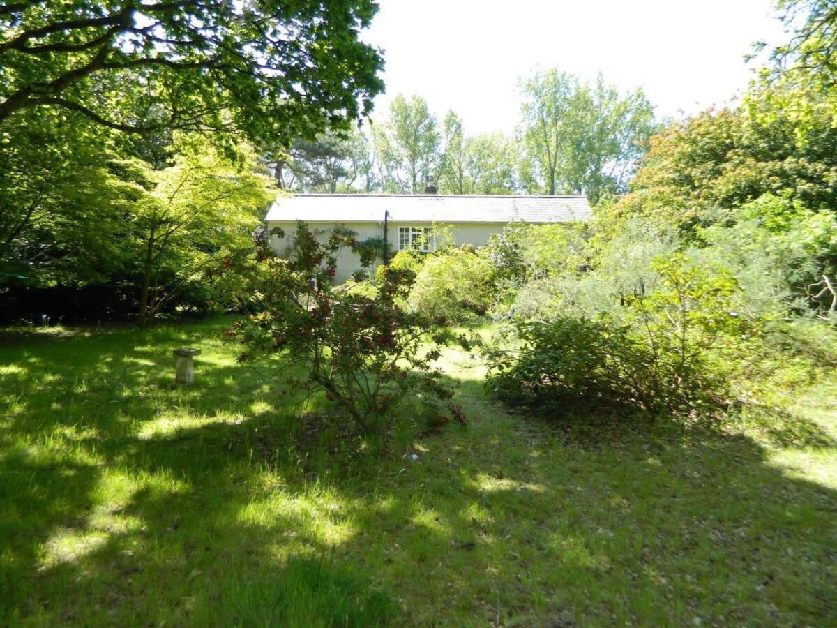 River Cottage A Country Retreat In Wooded Gardens East Stoke  Bagian luar foto