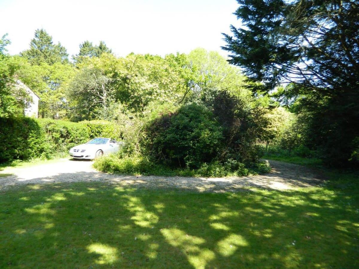 River Cottage A Country Retreat In Wooded Gardens East Stoke  Bagian luar foto